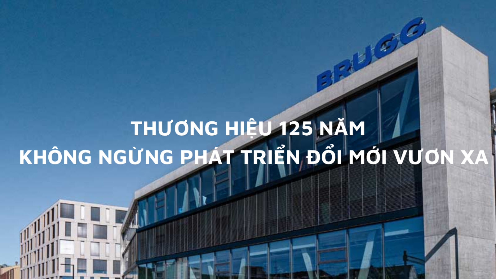 CÁP THÉP THƯƠNG HIỆU BRUGG THỤY SĨ