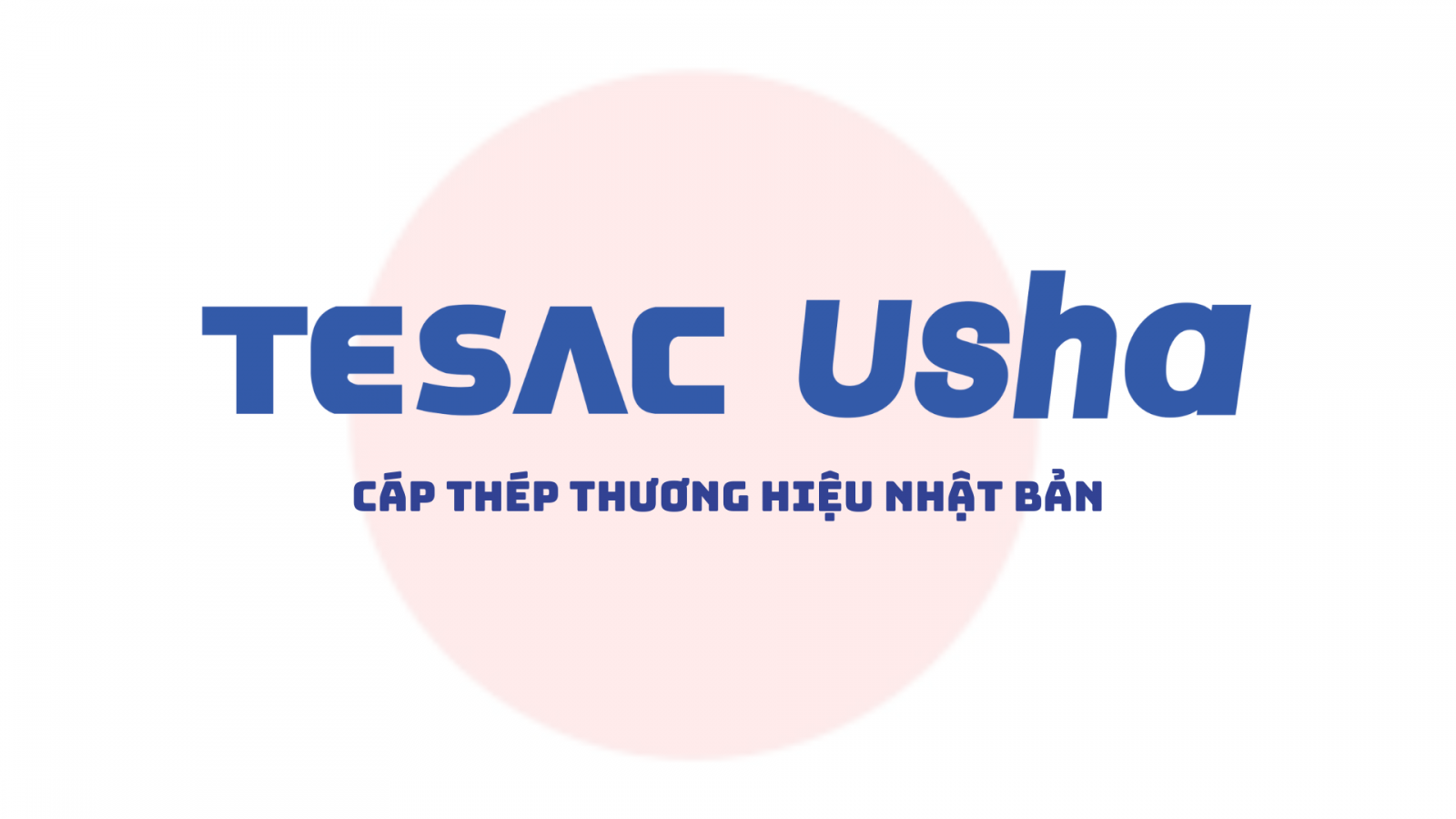 CÁP THÉP THÁI LAN- THƯƠNG HIỆU TESAC USHA – NHẬT BẢN